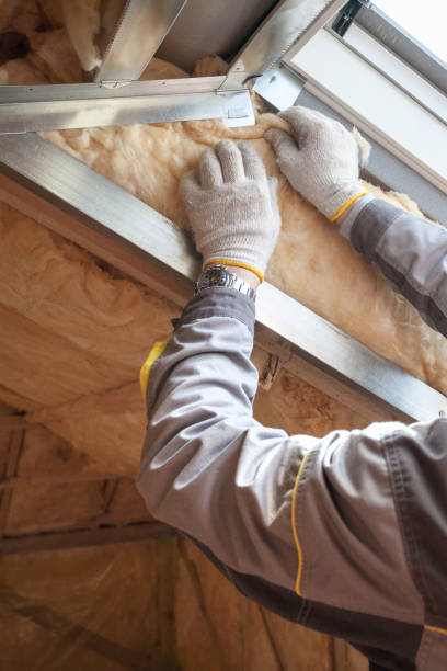 Types of Insulation We Offer in Lompoc, CA