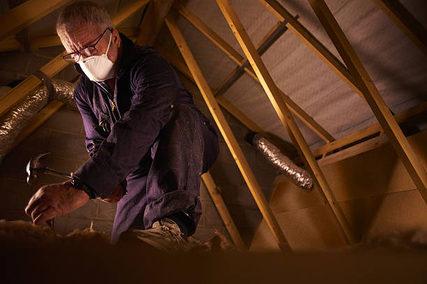 Best Cellulose Insulation in Lompoc, CA